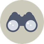 Vision